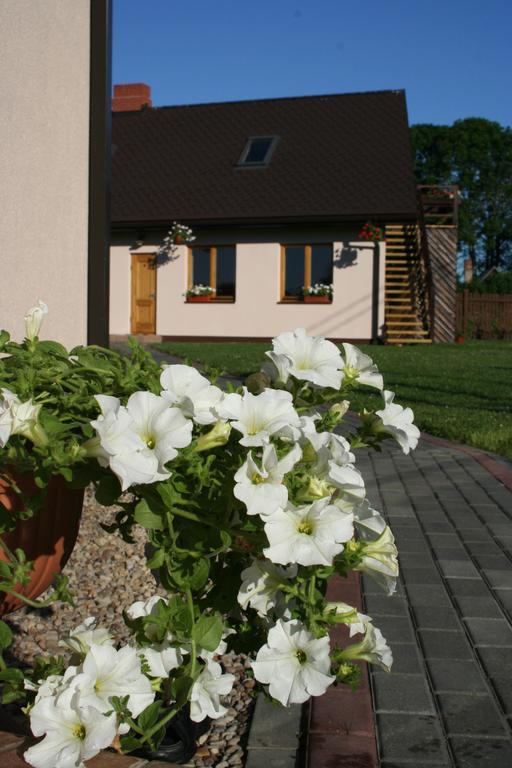 Brivdienu Maja Riekstnieki Plieņciems Exterior foto